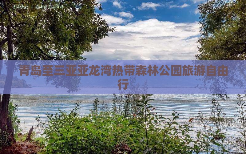 青岛至三亚亚龙湾热带森林公园旅游自由行