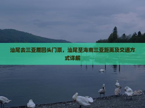 汕尾去三亚鹿回头门票，汕尾至海南三亚距离及交通方式详解