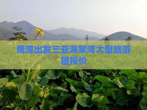 鹰潭出发三亚海棠湾大型旅游团报价