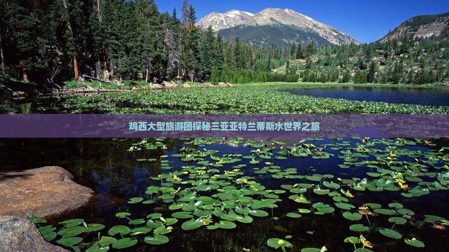 鸡西大型旅游团探秘三亚亚特兰蒂斯水世界之旅
