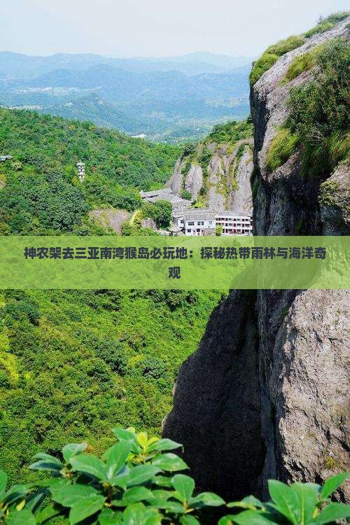 神农架去三亚南湾猴岛必玩地：探秘热带雨林与海洋奇观