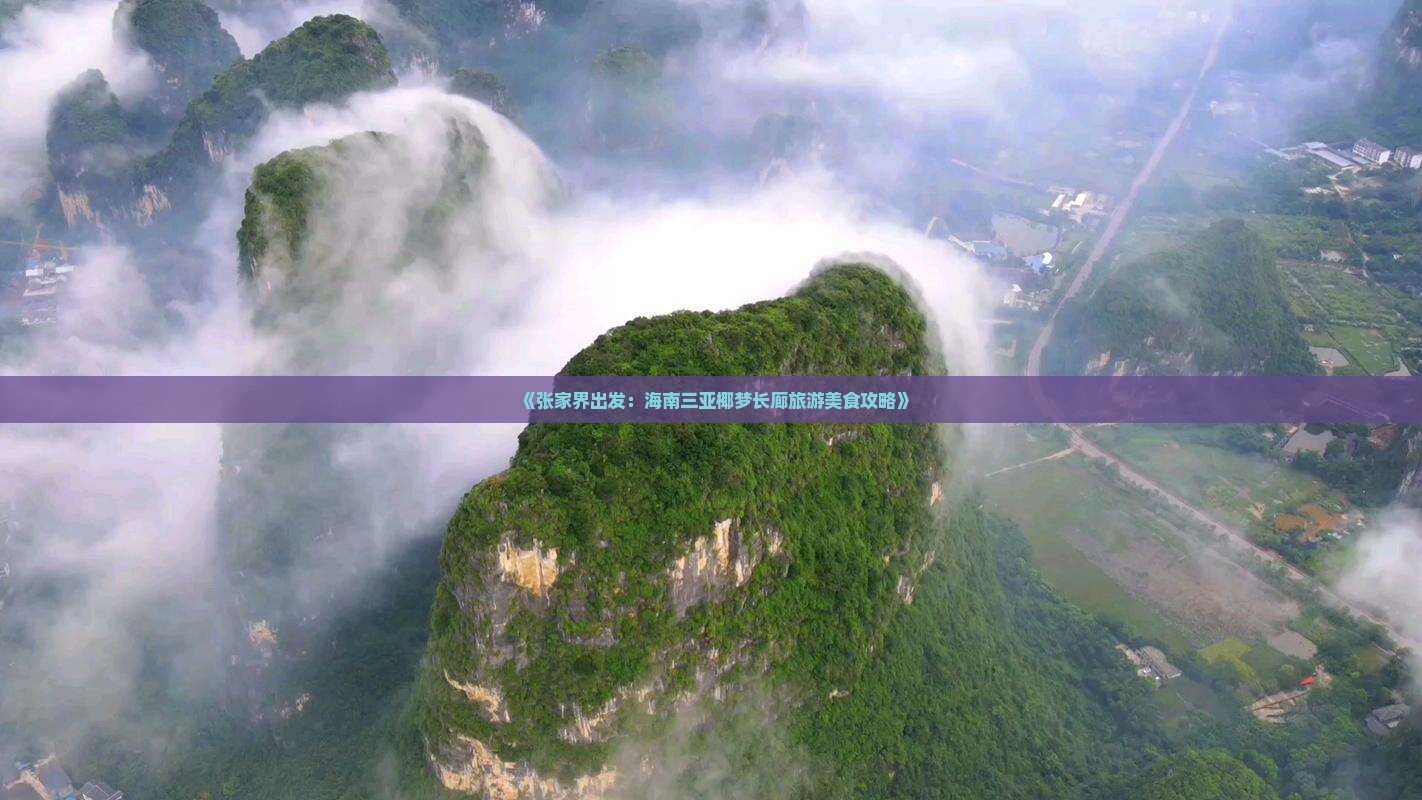 《张家界出发：海南三亚椰梦长廊旅游美食攻略》