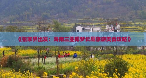 《张家界出发：海南三亚椰梦长廊旅游美食攻略》