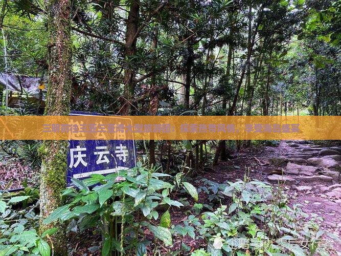 三明前往三亚三亚湾大型旅游团：探索热带风情，享受海岛盛宴