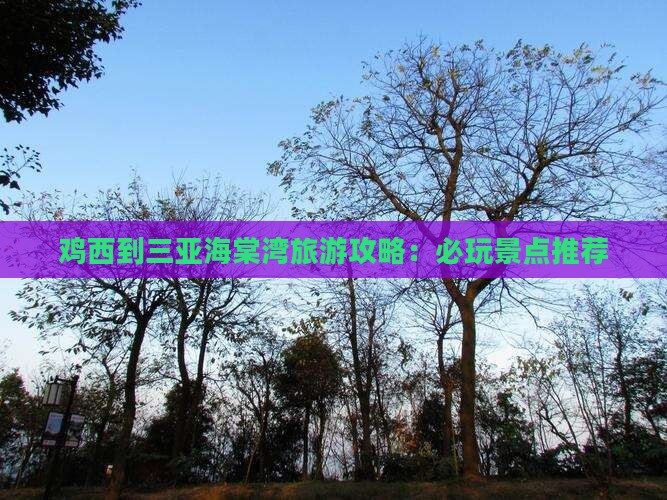 鸡西到三亚海棠湾旅游攻略：必玩景点推荐