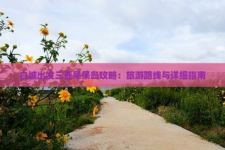 白城出发三亚呆呆岛攻略：旅游路线与详细指南