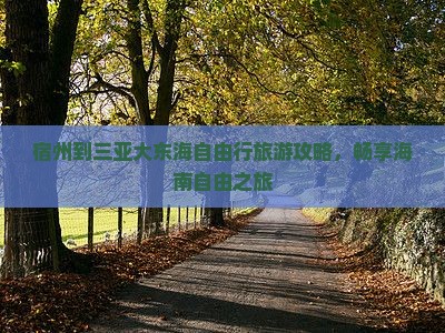 宿州到三亚大东海自由行旅游攻略，畅享海南自由之旅