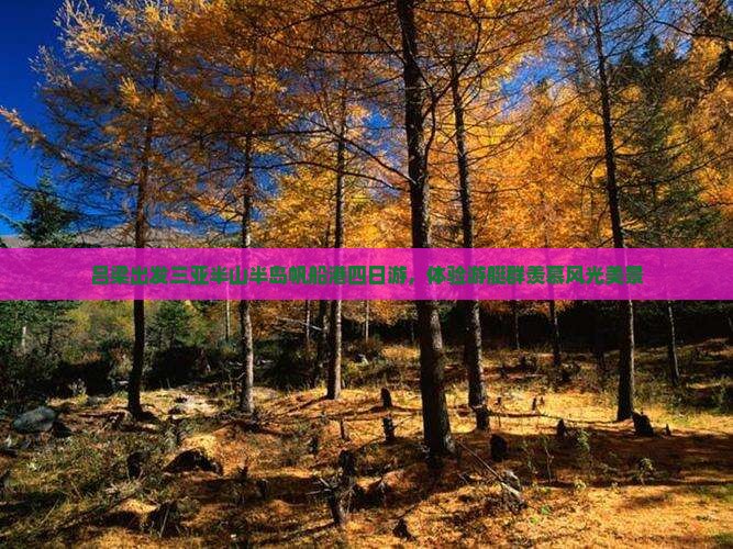 吕梁出发三亚半山半岛帆船港四日游，体验游艇群羡慕风光美景