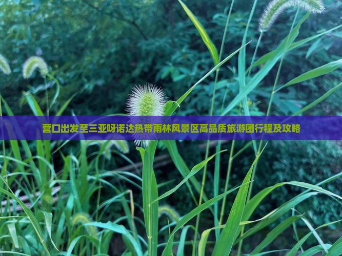 营口出发至三亚呀诺达热带雨林风景区高品质旅游团行程及攻略