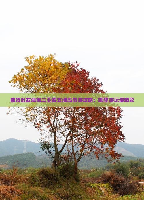 曲靖出发海南三亚蜈支洲岛旅游攻略：哪里游玩最精彩