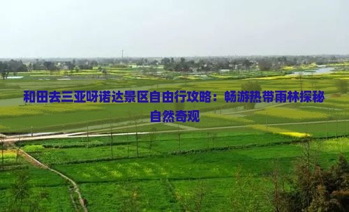 和田去三亚呀诺达景区自由行攻略：畅游热带雨林探秘自然奇观