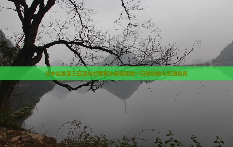 汉中出发至三亚亚特兰蒂斯水族馆超值一日游攻略与交通指南