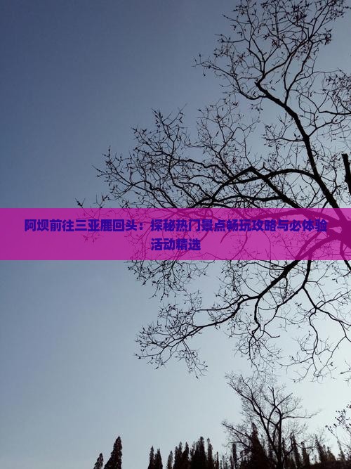 阿坝前往三亚鹿回头：探秘热门景点畅玩攻略与必体验活动精选