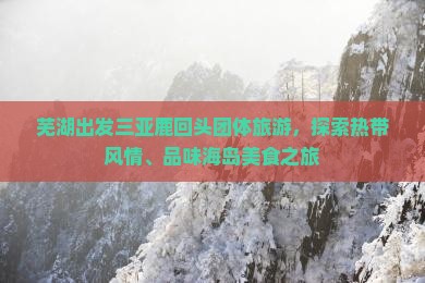芜湖出发三亚鹿回头团体旅游，探索热带风情、品味海岛美食之旅