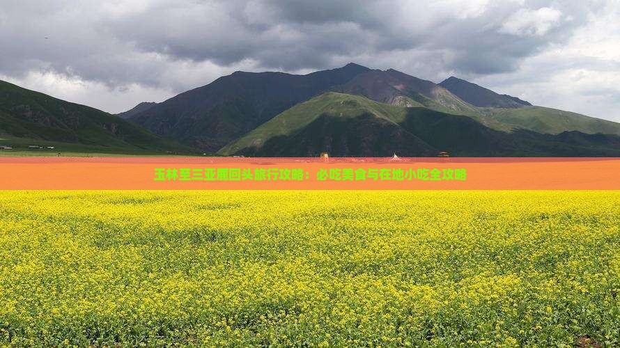 玉林至三亚鹿回头旅行攻略：必吃美食与在地小吃全攻略