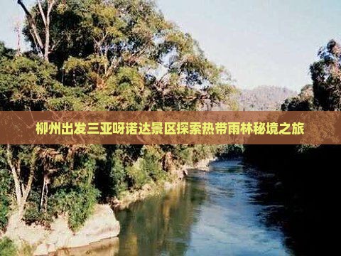 柳州出发三亚呀诺达景区探索热带雨林秘境之旅