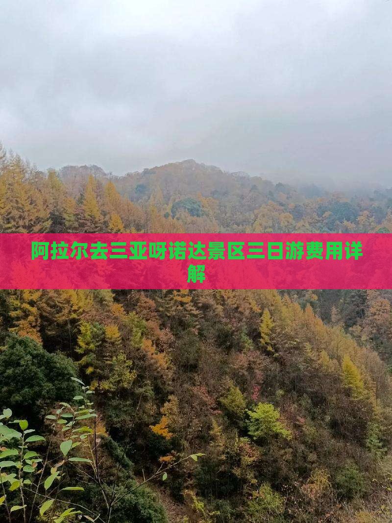 阿拉尔去三亚呀诺达景区三日游费用详解