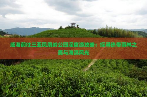 威海前往三亚凤凰岭公园深度游攻略：探寻热带雨林之美与海滨风光
