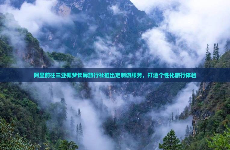 阿里前往三亚椰梦长廊旅行社推出定制游服务，打造个性化旅行体验