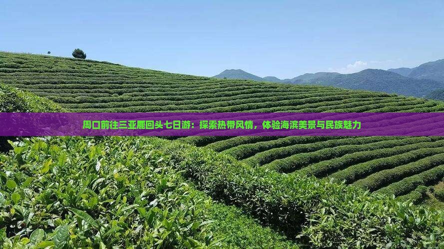 周口前往三亚鹿回头七日游：探索热带风情，体验海滨美景与民族魅力