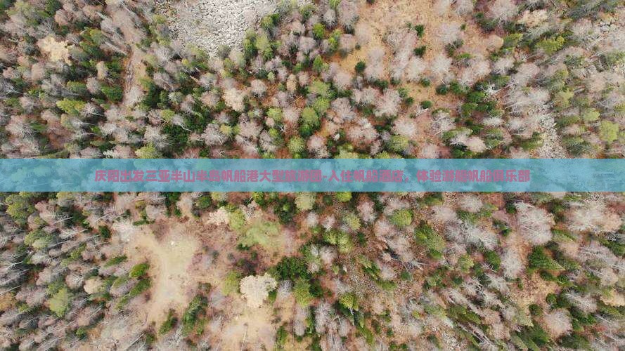 庆阳出发三亚半山半岛帆船港大型旅游团-入住帆船酒店，体验游艇帆船俱乐部