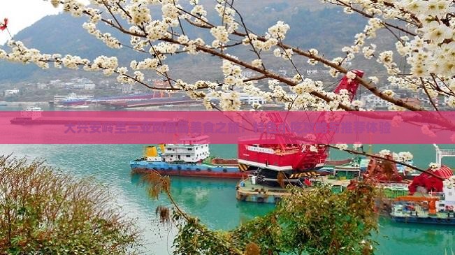 大兴安岭至三亚凤凰岛美食之旅：特色小吃攻略与推荐体验