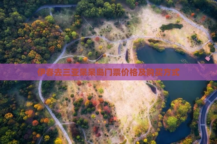 伊春去三亚呆呆岛门票价格及购买方式