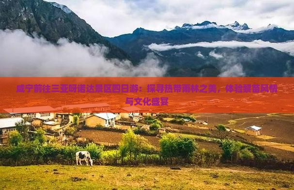 咸宁前往三亚呀诺达景区四日游：探寻热带雨林之美，体验黎苗风情与文化盛宴