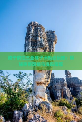 咸宁前往三亚椰子洲岛必玩地：探秘热带风情与海岛奇观