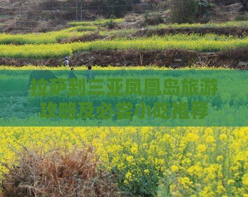 拉萨到三亚凤凰岛旅游攻略及必尝小吃推荐