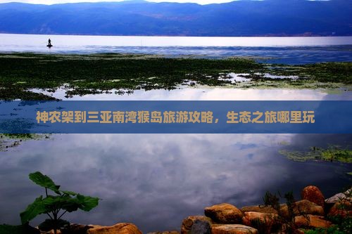 神农架到三亚南湾猴岛旅游攻略，生态之旅哪里玩