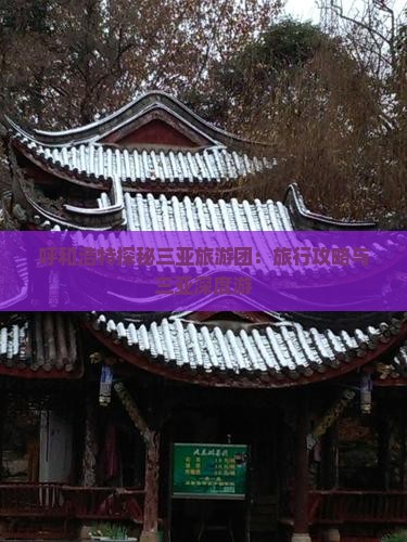 呼和浩特探秘三亚旅游团：旅行攻略与三亚深度游