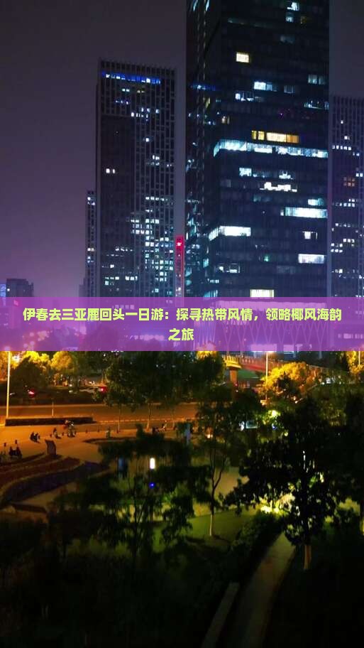 伊春去三亚鹿回头一日游：探寻热带风情，领略椰风海韵之旅
