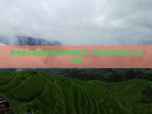 郑州至三亚亚龙湾玫瑰谷深度游：美食攻略与特色小吃推荐