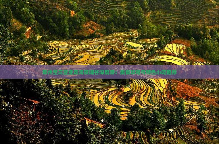 郑州至三亚亚龙湾玫瑰谷深度游：美食攻略与特色小吃推荐
