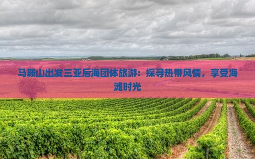 马鞍山出发三亚后海团体旅游：探寻热带风情，享受海滩时光