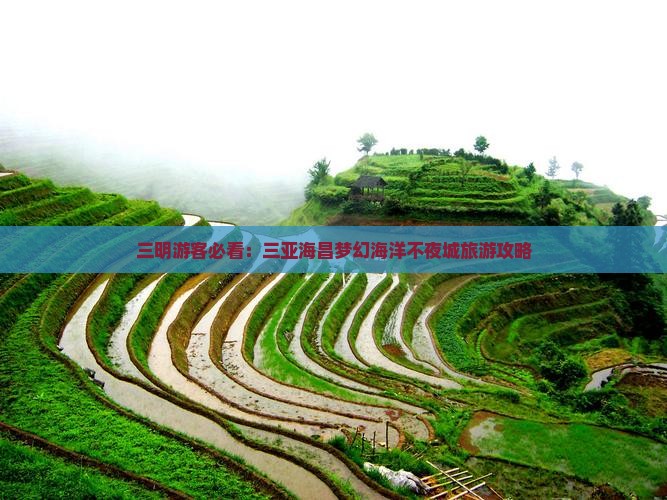 三明游客必看：三亚海昌梦幻海洋不夜城旅游攻略