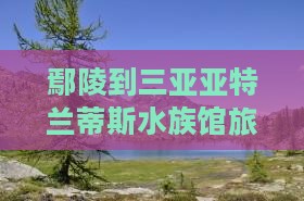 鄢陵到三亚亚特兰蒂斯水族馆旅游全攻略