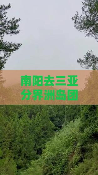 南阳去三亚分界洲岛团体旅游报价及行程路线