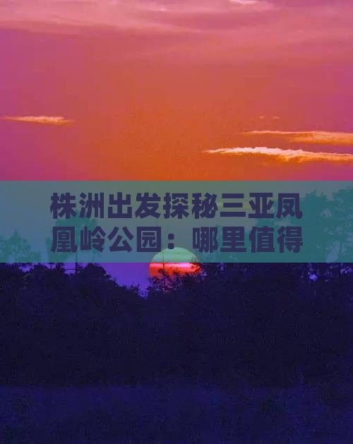 株洲出发探秘三亚凤凰岭公园：哪里值得一游