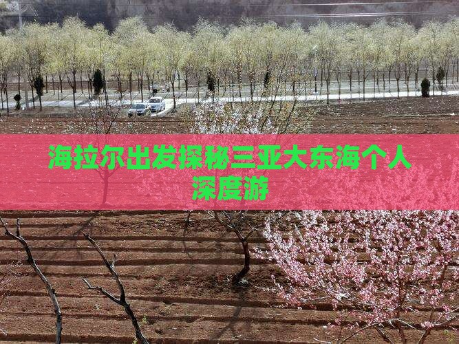 海拉尔出发探秘三亚大东海个人深度游