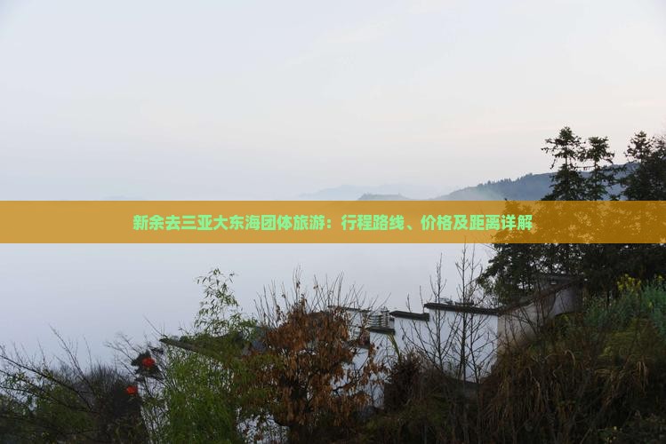 新余去三亚大东海团体旅游：行程路线、价格及距离详解