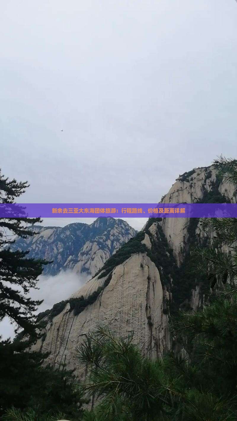 新余去三亚大东海团体旅游：行程路线、价格及距离详解