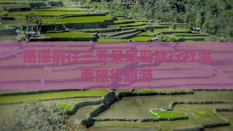 鹰潭前往三亚呆呆岛旅行社海南旅行旅游
