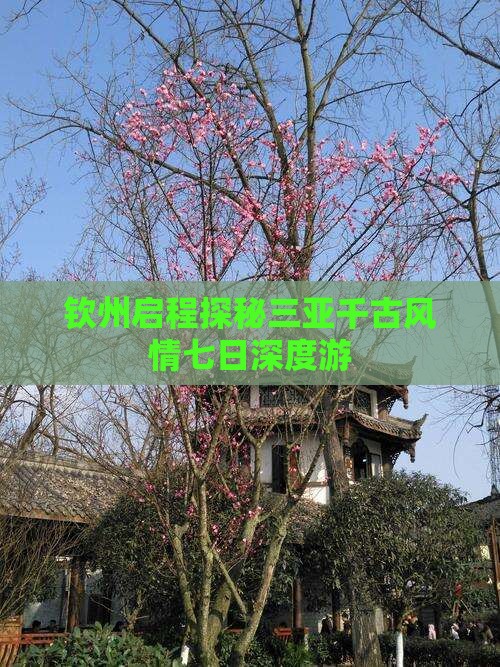 钦州启程探秘三亚千古风情七日深度游