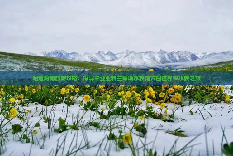 昭通海南旅游攻略：探寻三亚亚特兰蒂斯水族馆六日世界级水族之旅