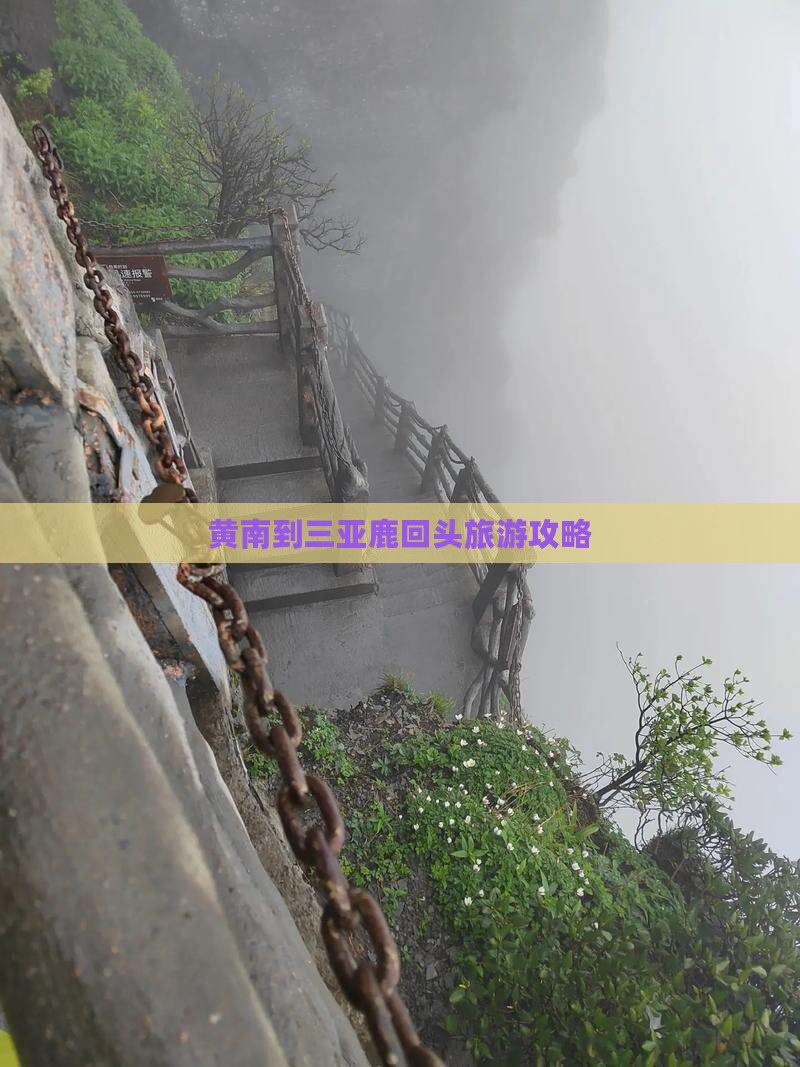 黄南到三亚鹿回头旅游攻略