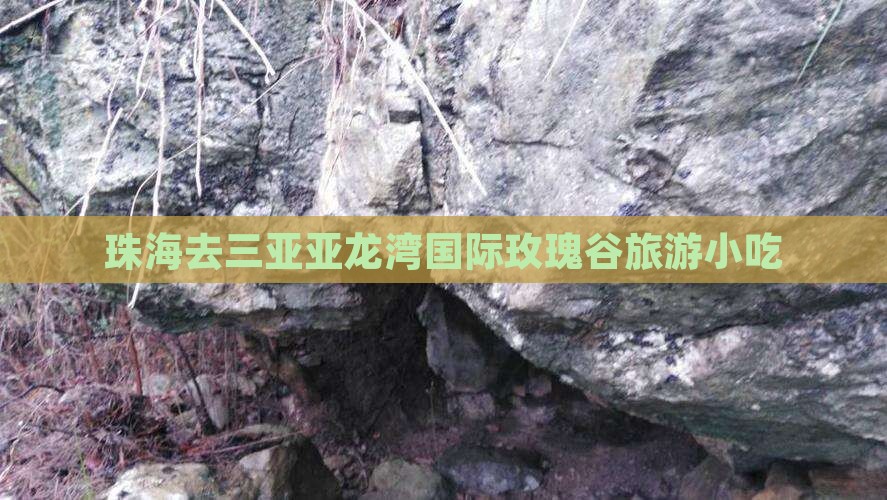 珠海去三亚亚龙湾国际玫瑰谷旅游小吃