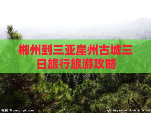 郴州到三亚崖州古城三日旅行旅游攻略