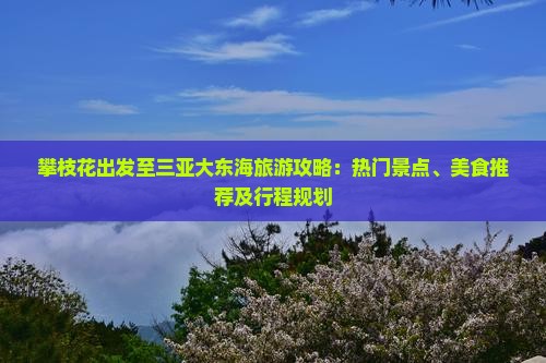 攀枝花出发至三亚大东海旅游攻略：热门景点、美食推荐及行程规划